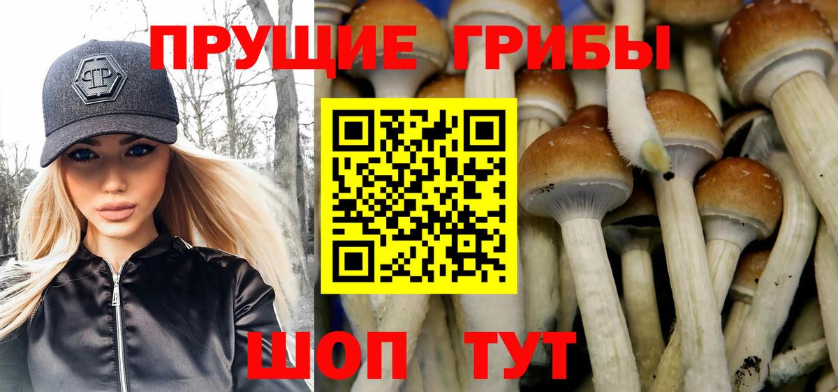 Галлюциногенные грибы мухоморы  Галлюциногенные грибы Cubensis  Вход с VPN  Скопин 
