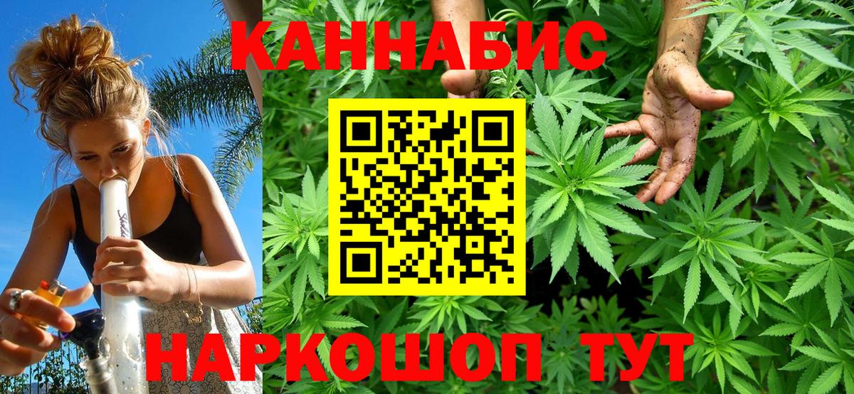 Шишки марихуана планчик Скопин